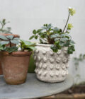 Rowan I INDOORS by Erika Knight – Bild 18