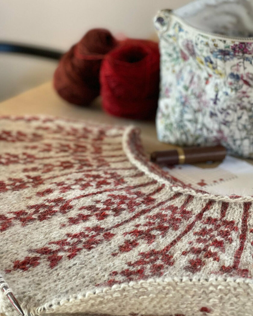 Hanne Rimmen I Lupin Sweater – Bild 4