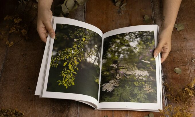 LITLG I ISSUE 6 Encircled Forms