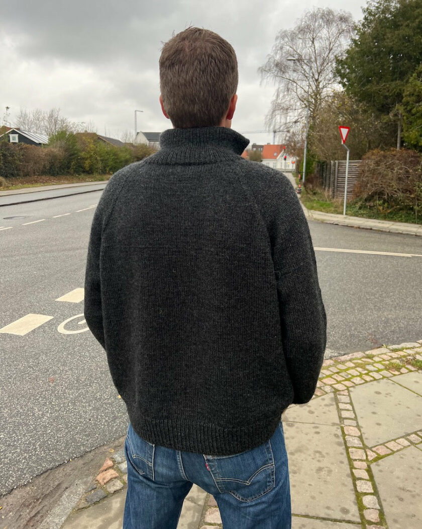 PetiteKnit I Zipper Sweater Light (Man) – Bild 3