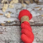 Deep Coral