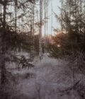 Laine Magazine I Observations – Bild 4
