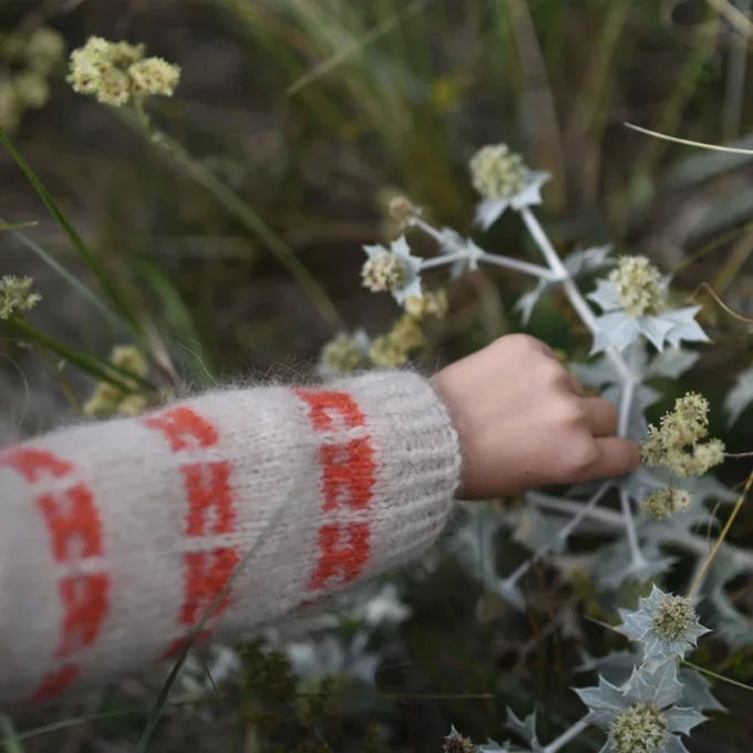 Anne Ventzel I Little Karla