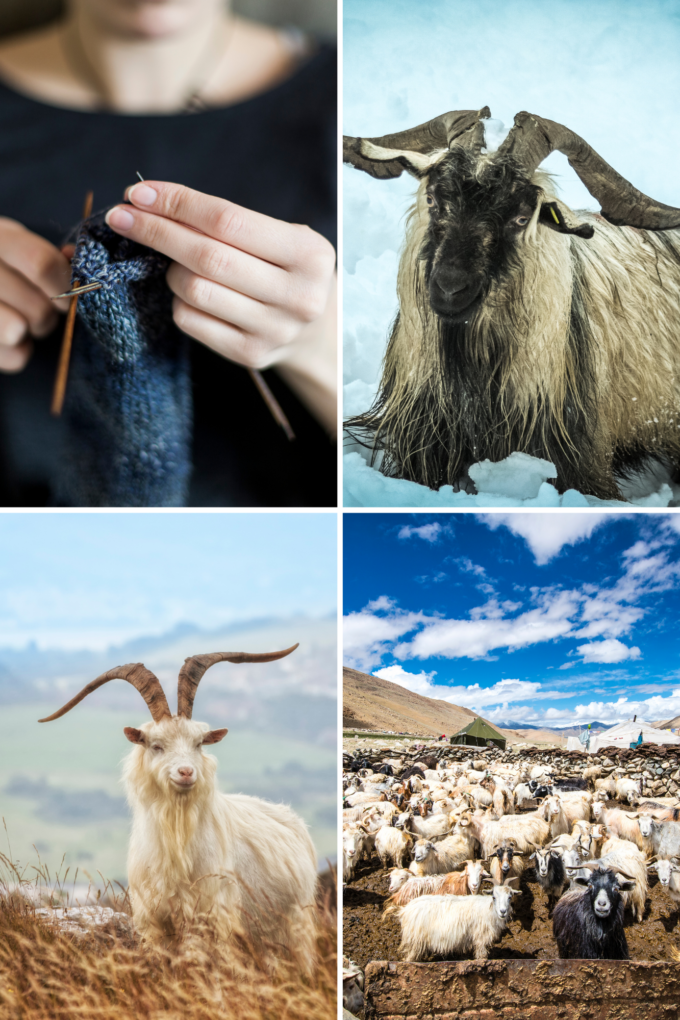 Lang Yarns │Cashmere Premium