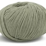 (22) 64 Salbei