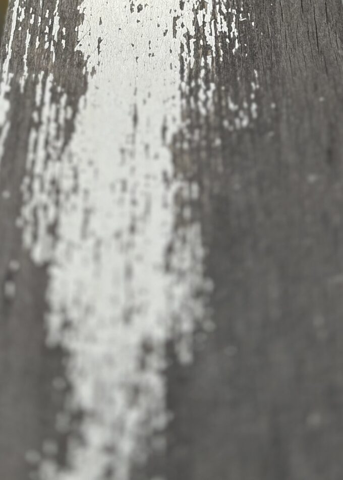 Gepard I Eco Cashmere Vintage