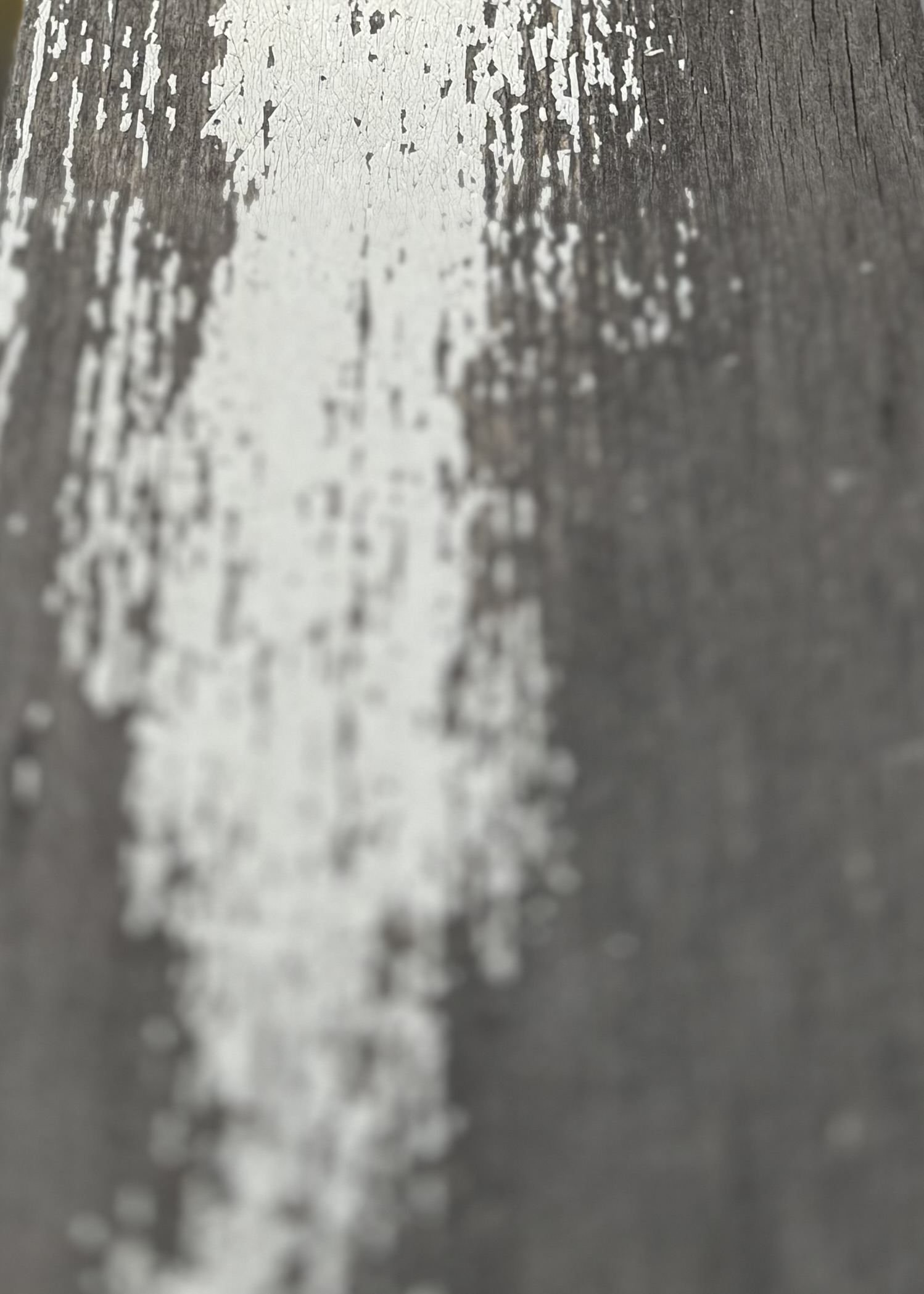 Gepard I Eco Cashmere Vintage – Bild 3