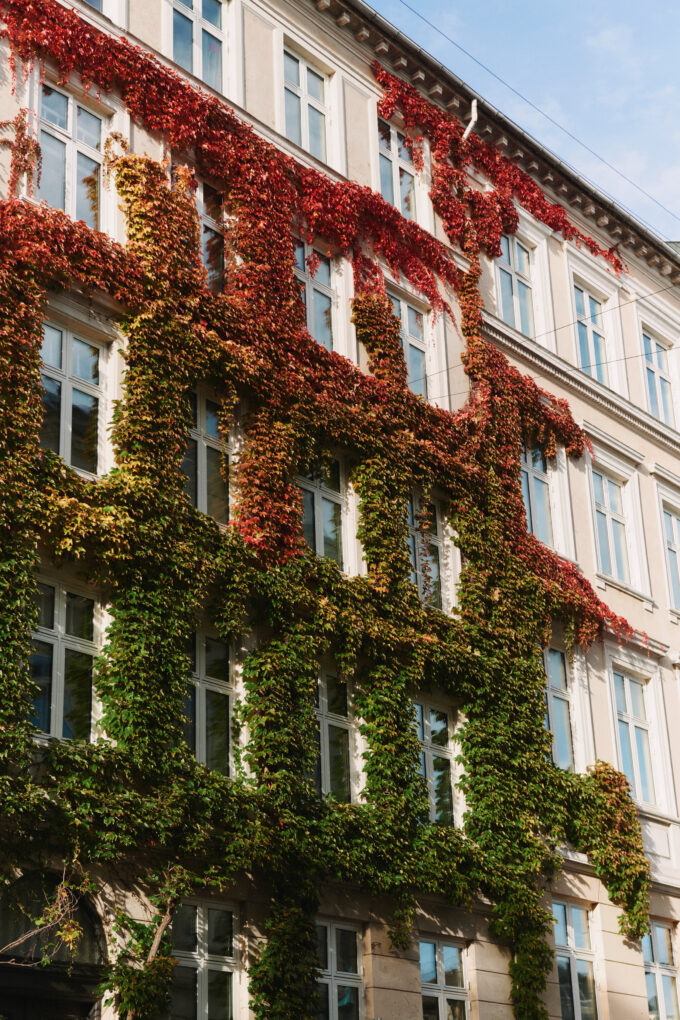 Le Knit I Mikala Sweater