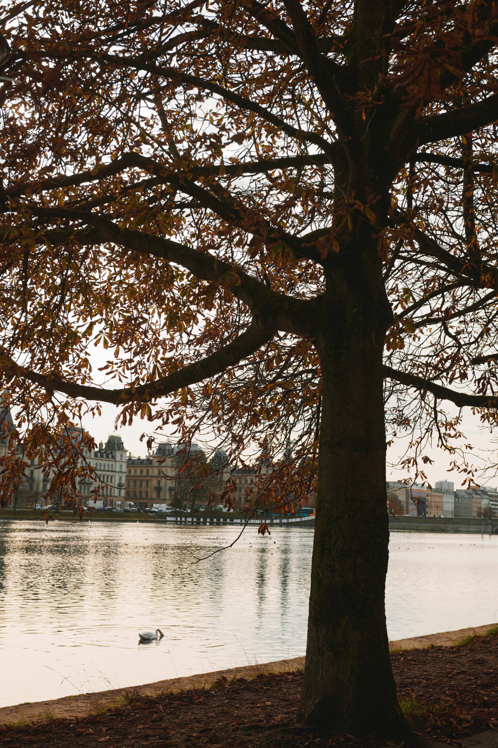 Otherloops I Zoe Loop Sweater – Bild 4