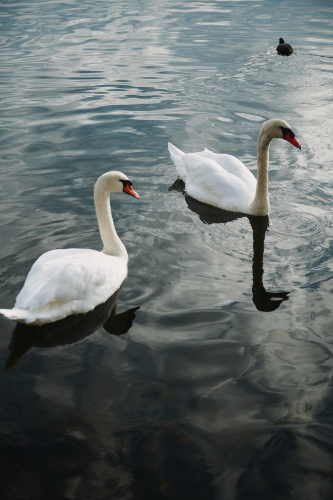 Otherloops I Zoe Loop Sweater