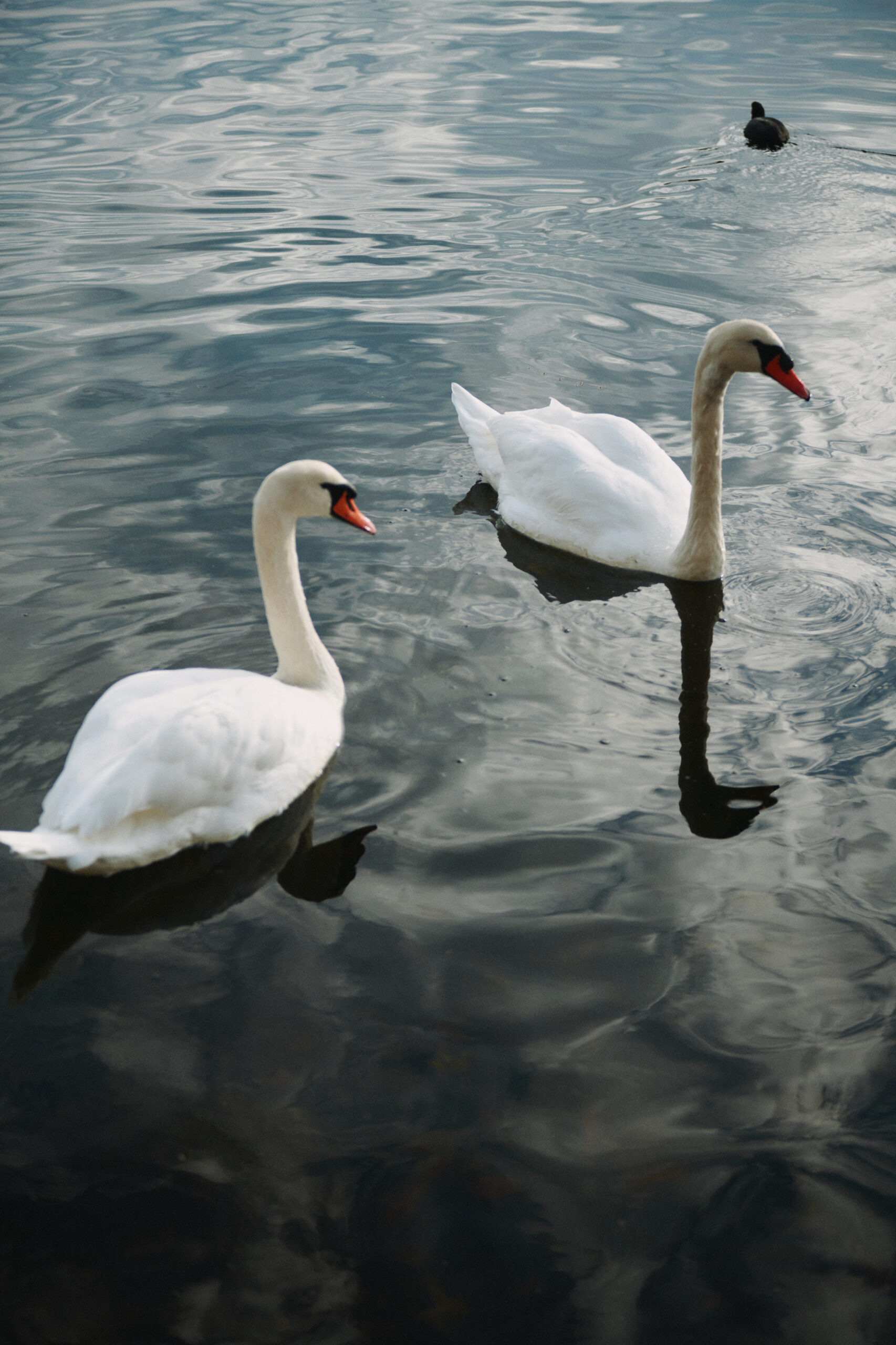 Otherloops I Zoe Loop Sweater – Bild 5