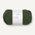 8571 Dark Forest Green